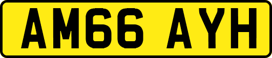 AM66AYH