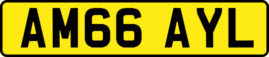 AM66AYL