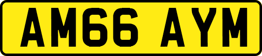 AM66AYM