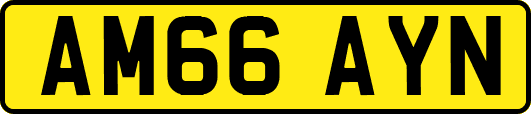 AM66AYN