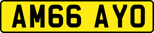 AM66AYO