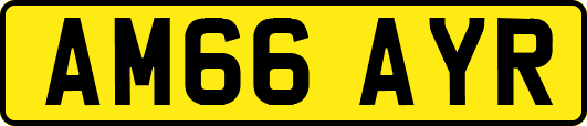 AM66AYR