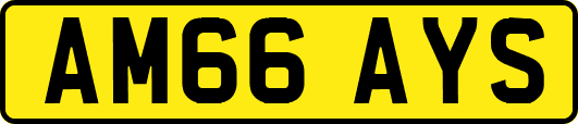 AM66AYS