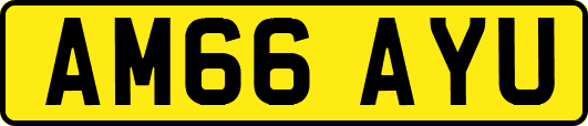 AM66AYU