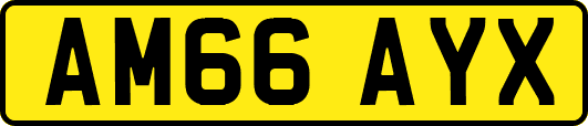 AM66AYX