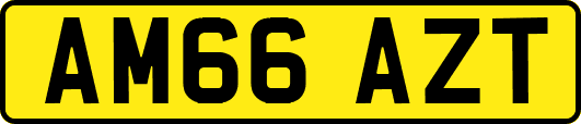 AM66AZT