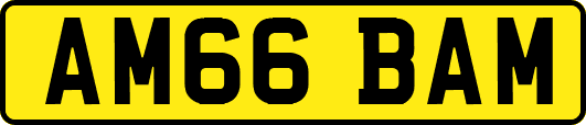 AM66BAM