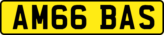 AM66BAS