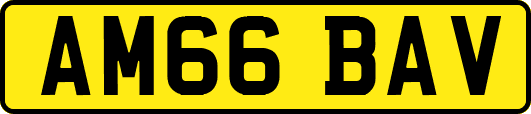 AM66BAV