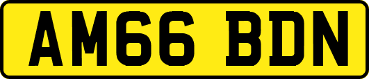 AM66BDN