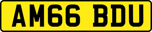 AM66BDU