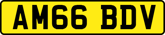 AM66BDV