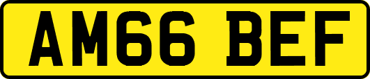 AM66BEF