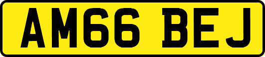AM66BEJ