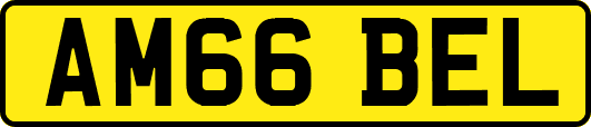 AM66BEL