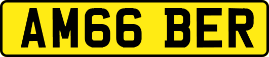 AM66BER