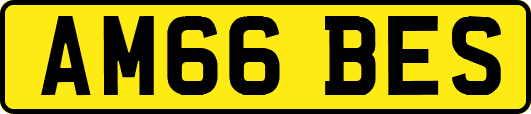AM66BES