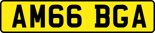 AM66BGA