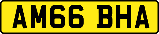 AM66BHA