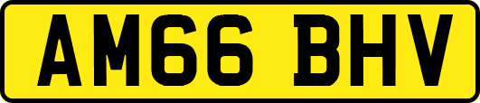 AM66BHV