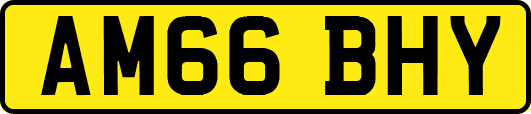 AM66BHY