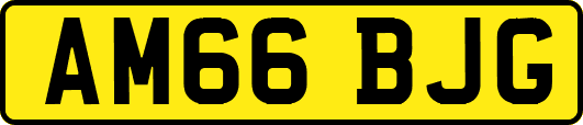 AM66BJG