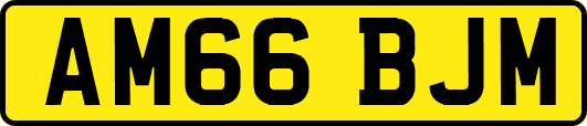 AM66BJM