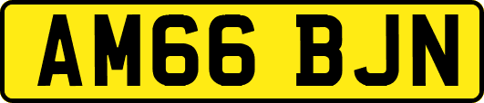AM66BJN