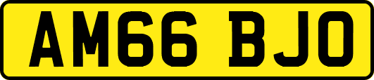 AM66BJO