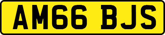 AM66BJS