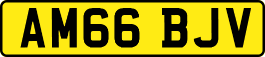 AM66BJV