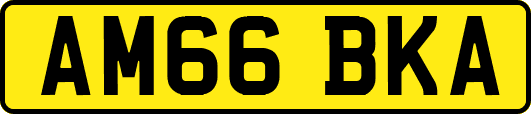 AM66BKA