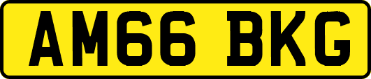 AM66BKG