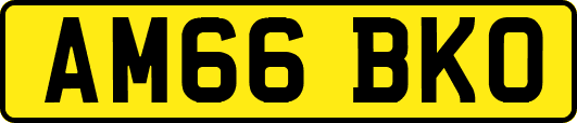 AM66BKO