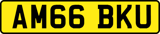 AM66BKU