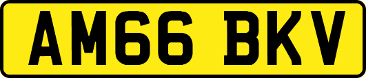 AM66BKV