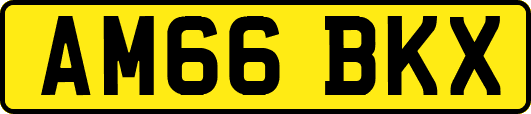 AM66BKX