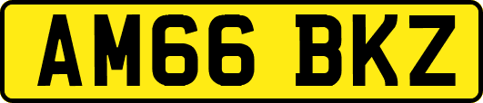 AM66BKZ