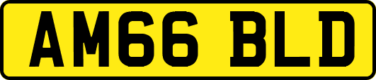 AM66BLD