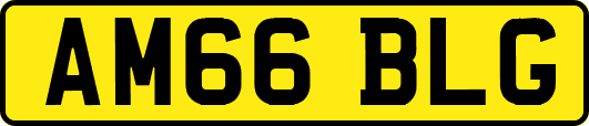 AM66BLG