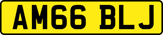 AM66BLJ