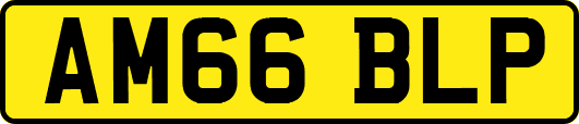 AM66BLP