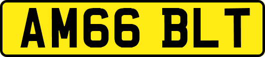 AM66BLT