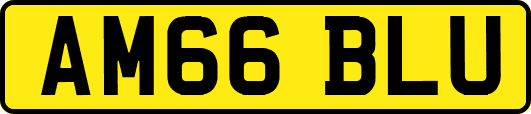 AM66BLU