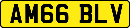 AM66BLV
