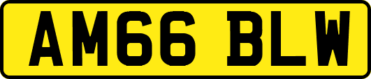 AM66BLW