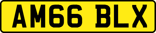 AM66BLX