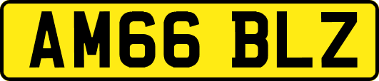 AM66BLZ