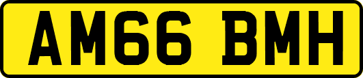 AM66BMH