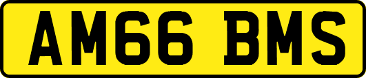 AM66BMS